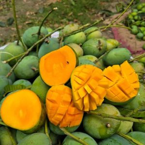 ২০ কেজি প্যাকেজ